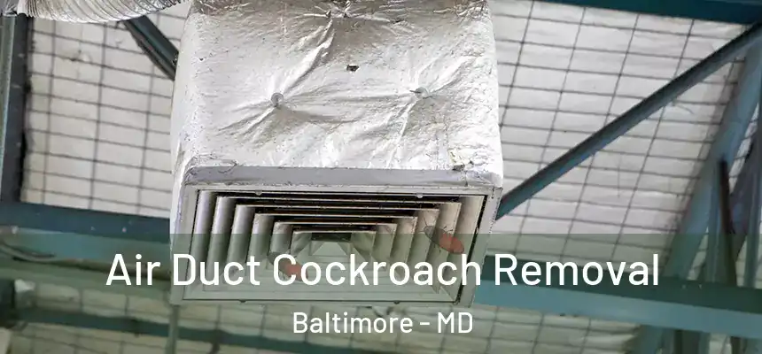 Air Duct Cockroach Removal Baltimore - MD