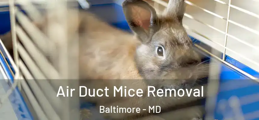 Air Duct Mice Removal Baltimore - MD