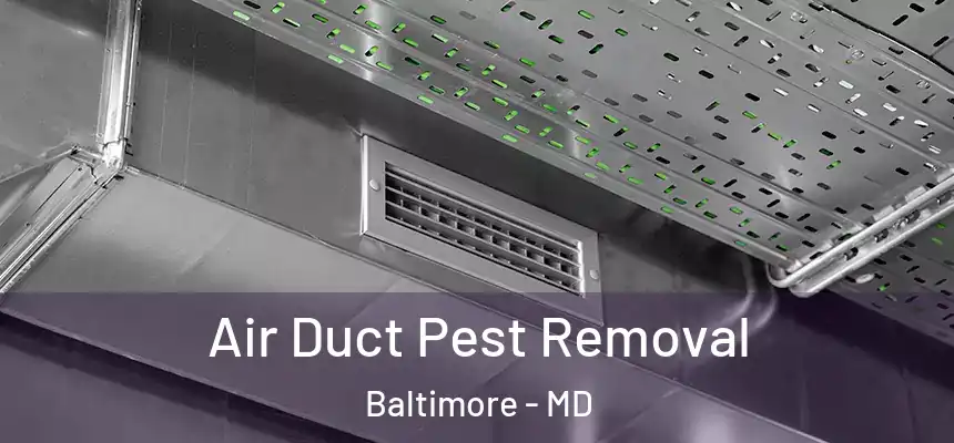 Air Duct Pest Removal Baltimore - MD