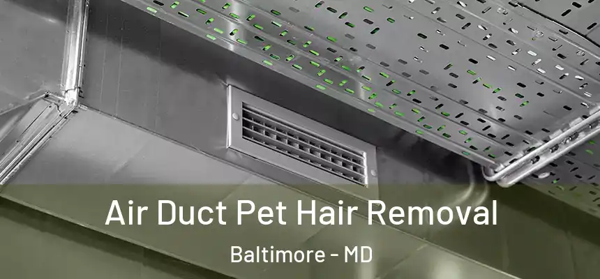 Air Duct Pet Hair Removal Baltimore - MD