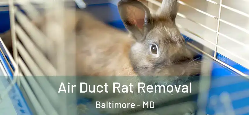 Air Duct Rat Removal Baltimore - MD