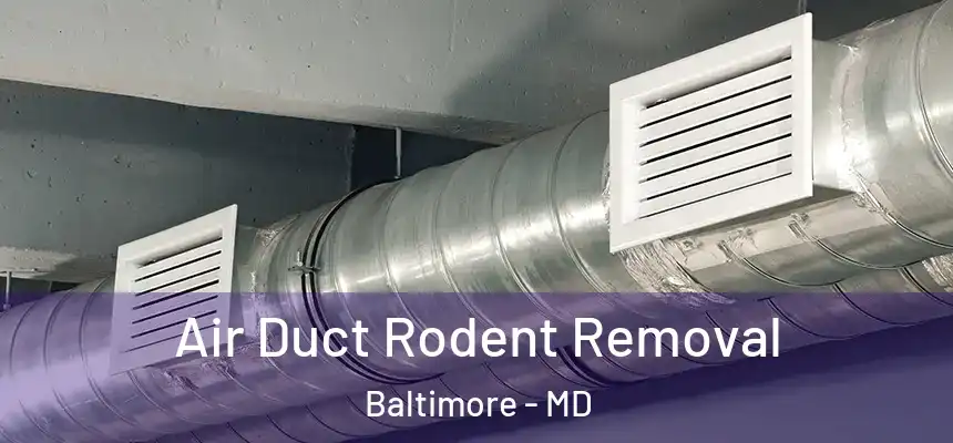 Air Duct Rodent Removal Baltimore - MD