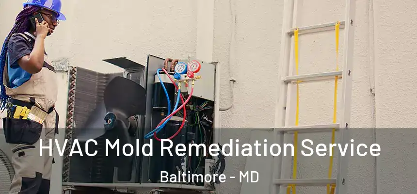 HVAC Mold Remediation Service Baltimore - MD