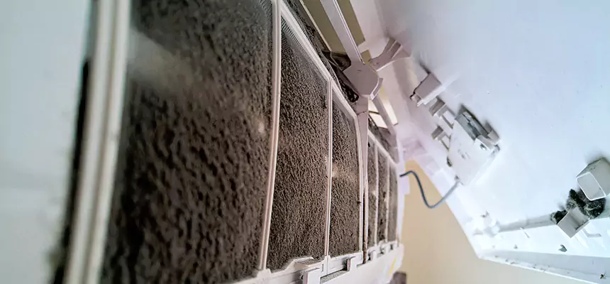 Preventive Air Duct Bacteria Removal in Baltimore