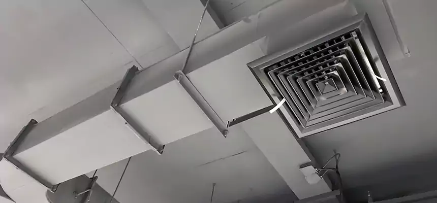 Restorative Allergy Relief Vent Cleaning – Coil, Blower & Housing Detail in Baltimore