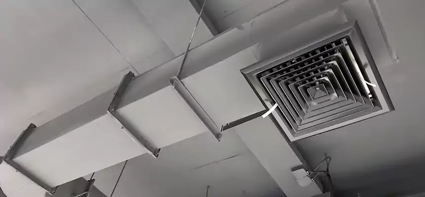 Our Pest Removal From Ducts Services in Baltimore, MD