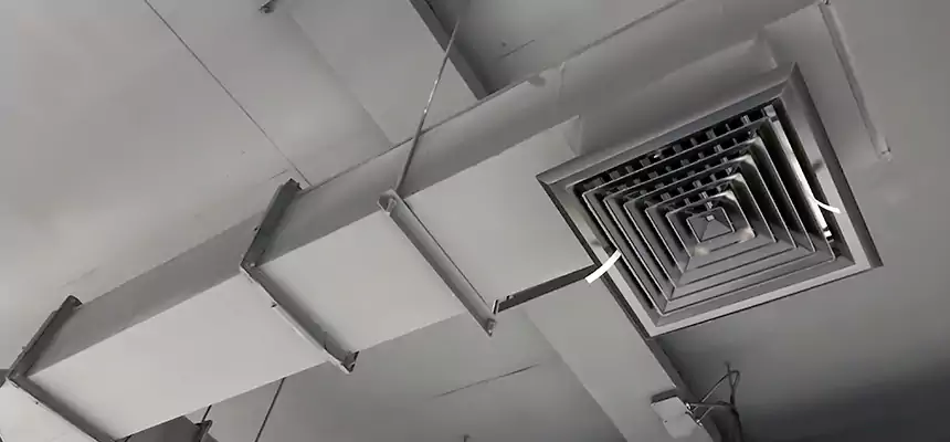 Our Rodent Droppings In Vents Services in Baltimore, MD