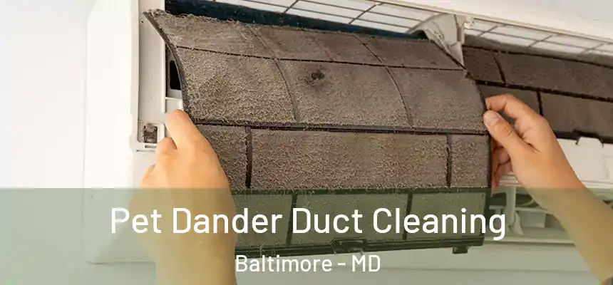 Pet Dander Duct Cleaning Baltimore - MD