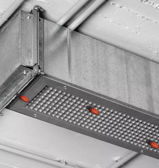 About Air Duct Cockroach Removal in Baltimore, MD