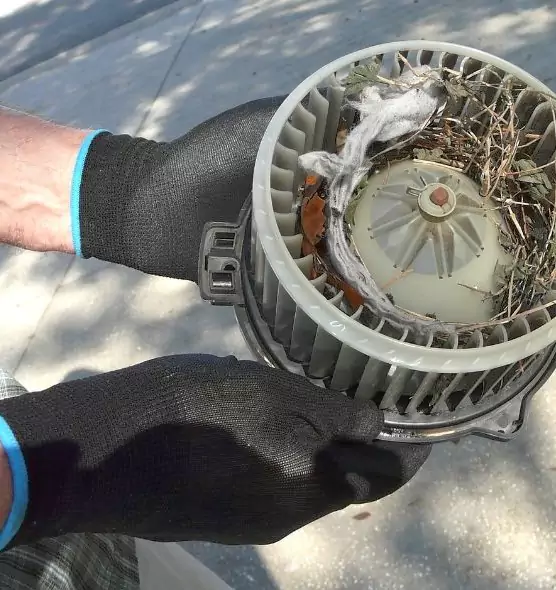 About Air Duct Rat Removal in Baltimore, MD