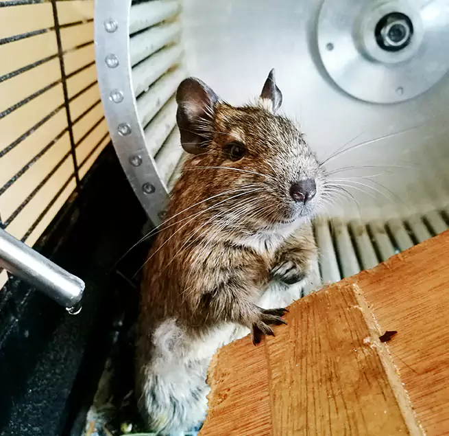 Why Homeowners & Businesses Trust Us Baltimore, MD