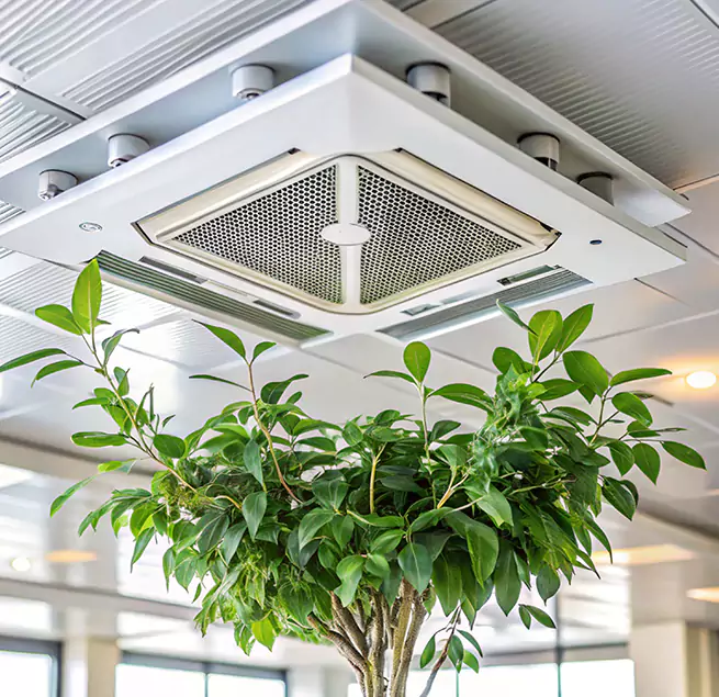 Why Homeowners & Businesses Trust Us in Baltimore, MD?