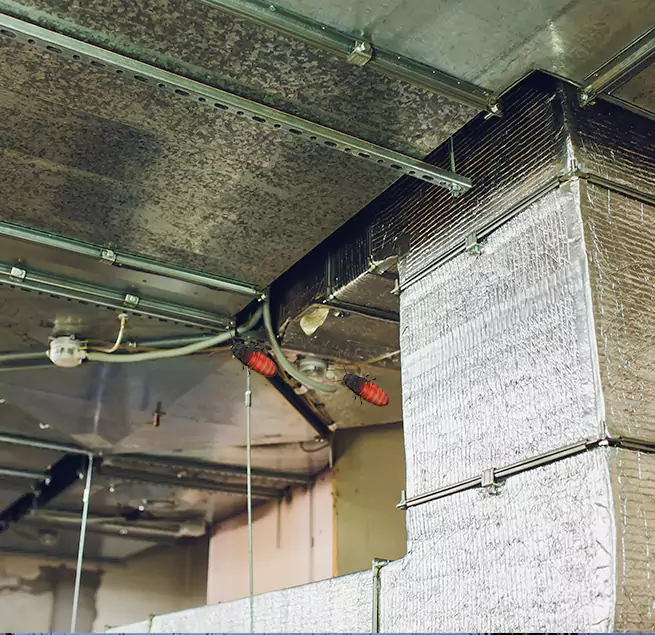 Why Homeowners & Businesses Trust Us Baltimore, MD?