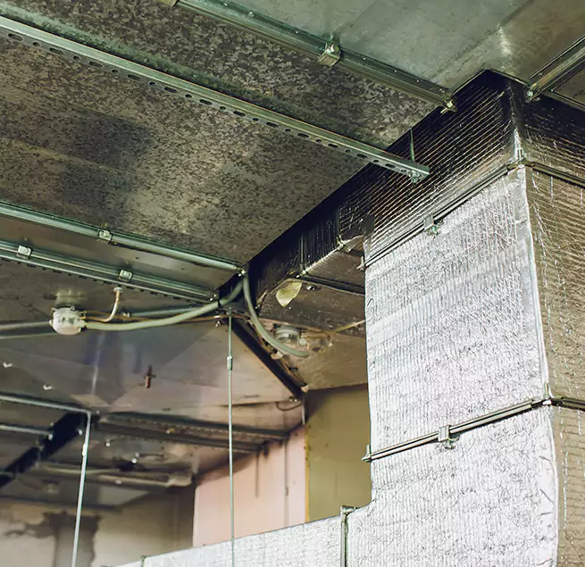 Why Homeowners & Businesses Trust Us in Baltimore, MD?